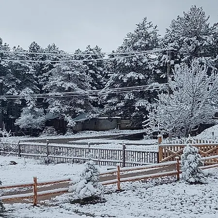 Farm Shelegur * Leskovik