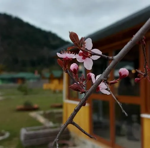 别墅 Farm Shelegur *