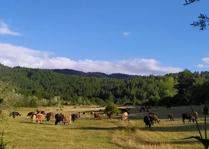 别墅 Farm Shelegur *