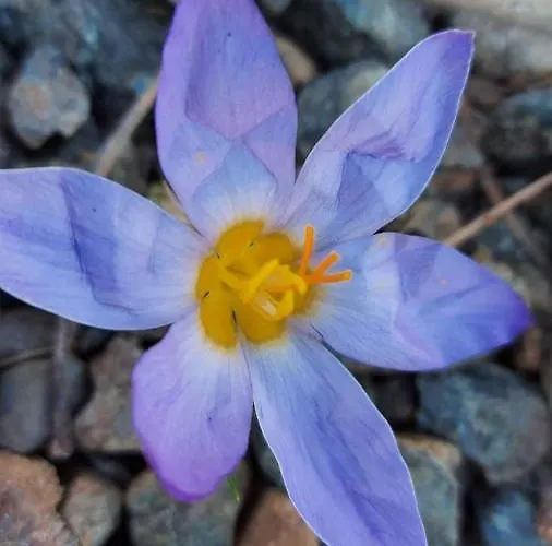 别墅 Farm Shelegur