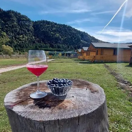 Villa Farm Shelegur *