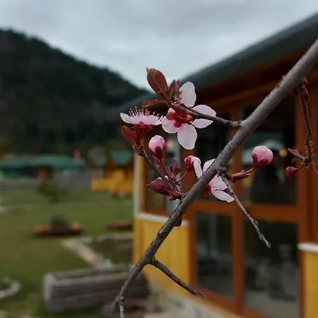 Вилла Farm Shelegur *