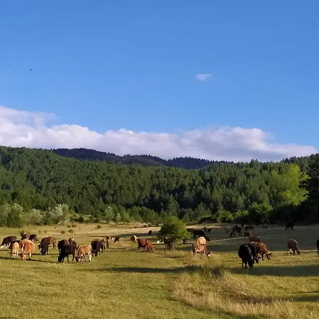 Вилла Farm Shelegur *