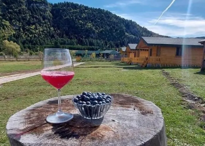 Villa Farm Shelegur *